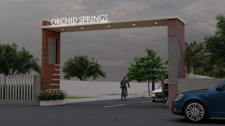 Orchid Springs Main Image 1