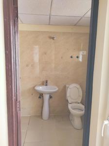 Bathroom Image of 1000 Sq.ft 2 BHK Apartment / Flat for rent in Paramount Emotions, Noida Extension Greater Noida for Rs. 26000
