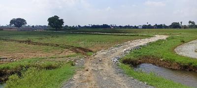 Image of 2000 Sq.ft 3 BHK Independent House for sale in Khagaul, Patna for Rs. 6500000