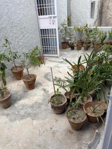 Image of 725 Sq.ft 1 BHK Builder Floor for rent in Arun Vihar, Sector 37, Noida for Rs. 25125