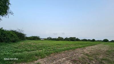 Image of 10000 Sq.ft Residential Plot / Land for sale in Becharaji, Mehsana for Rs. 5000000