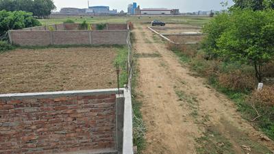 Bihta Plot View 2