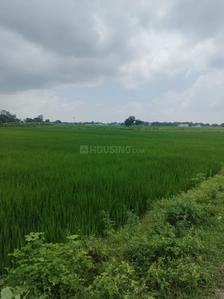 Image of 22000 Sq.ft Residential Plot / Land for sale in Ganja, Ayodhya for Rs. 34000000