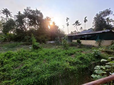 Angamaly Plot View 3