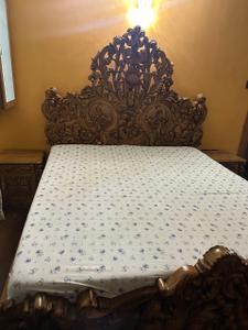 Bedroom Image of 1080 Sq.ft 2 BHK Apartment / Flat for rent in Adani The Meadows, Shantigram Ahmedabad for Rs. 40000