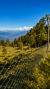Image of 300 Sq.ft Residential Plot / Land for sale in Kanyura, Almora for Rs. 2500000