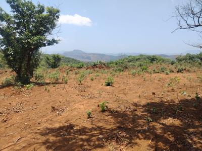 Image of 40000 Sq.ft Residential Plot / Land for sale in Bhor, Pune for Rs. 1500000