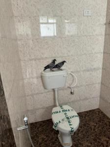 Bathroom Image of 1331 Sq.ft 3 BHK Apartment / Flat for sale in Paijawa Patna for Rs. 8700000