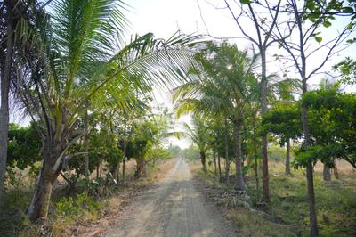 Image of 10000 Sq.ft Residential Plot / Land for sale in Anantapura, Bengaluru for Rs. 3000000