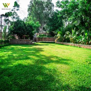 Image of 2500 Sq.ft 4 BHK Villa for sale in YC Raintree, Kaggalipura, Bengaluru for Rs. 24900000