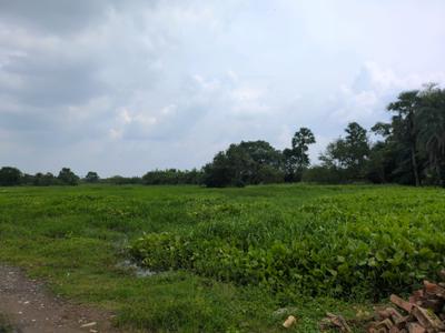 Image of 2880 Sq.ft Residential Plot / Land for sale in Joka, Kolkata for Rs. 680097