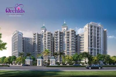 Image of 1071 Sq.ft Residential Plot / Land for sale in Varinda Orchids, Jait, Vrindavan for Rs. 6500000