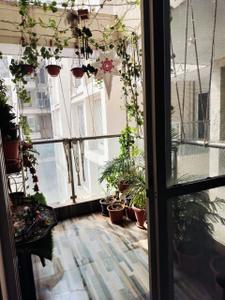 Balcony Image of 900 Sq.ft 2 BHK Apartment / Flat for sale in Vivaan Park, Lohegaon Pune for Rs. 7400000