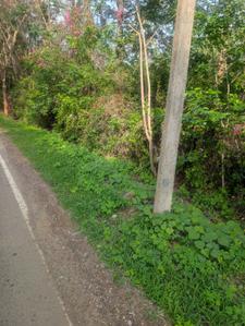 Image of 7700 Sq.ft Residential Plot / Land for sale in Nelamangala, Bengaluru for Rs. 27000000