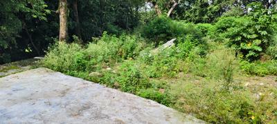 Image of 1296 Sq.ft Residential Plot / Land for sale in Bhagwant Pur, Dehradun for Rs. 9360000