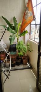 Balcony Image of 850 Sq.ft 2 BHK Apartment / Flat for sale in Shri Balaji Residency, Mansarovar Extension Jaipur for Rs. 3600000