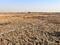 jui Plot View 2