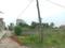 Apparent JB Garden Main Image 1