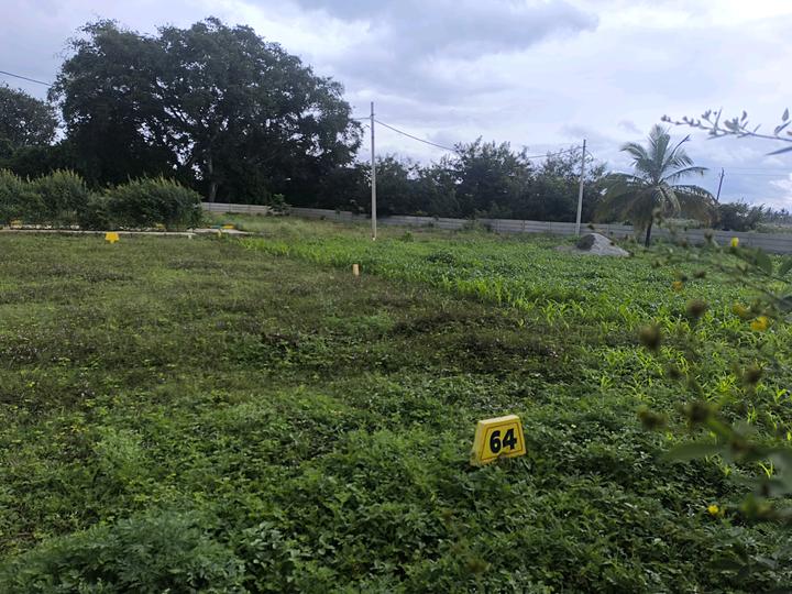 Telecom wood land city Main Image 1