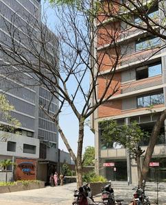 Image of 3483 Sq.ft 4 BHK Apartment / Flat for sale in Vertis ONE, Sola, Ahmedabad for Rs. 27000000