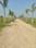 Metro Apartment Internal Roads 2