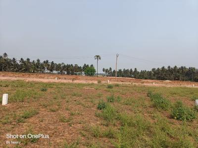 Image of 200 Sq.ft Residential Plot / Land for sale in Morampudi, Rajahmundry for Rs. 4000000