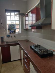 Kitchen Image of 1300 Sq.ft 1 BHK Builder Floor for rent in Sector 17 Panchkula for Rs. 16000