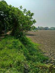 Image of 7200 Sq.ft Residential Plot / Land for sale in Bipadbhanjan Colony, Kolkata for Rs. 5000000