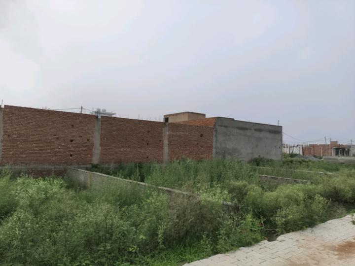 Chhapraula Main Image 1