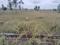 KHB Plot View 2