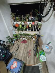 Balcony Image of 1580 Sq.ft 2 BHK Apartment / Flat for rent in Rama Metro Life Maxima Residences, Wakad Pune for Rs. 26999