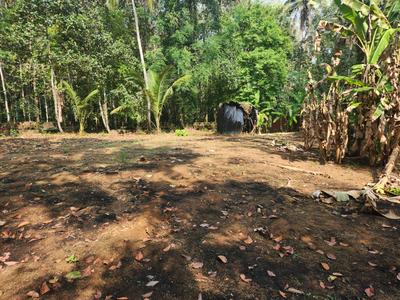 Image of 26133 Sq.ft Residential Plot / Land for sale in Poovanthuruthu, Kottayam for Rs. 24000000