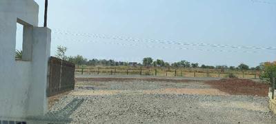 ALPHA 2 Plot View 2