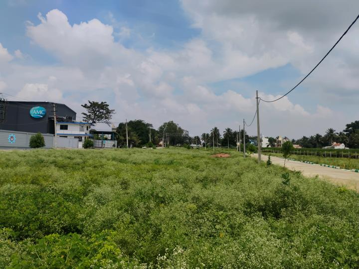 Signature vally  Main Image 1