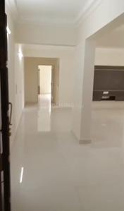 Hall Image of 1600 Sq.ft 2 BHK Apartment / Flat for sale in Mohtisham Canopy, Urwa Mangalore for Rs. 12000000
