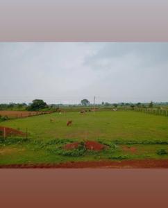 Image of 35000 Sq.ft Residential Plot / Land for sale in Jamul, Bhilai for Rs. 4000000
