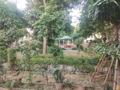 Playing Area Image of 810 Sq.ft 2 BHK Builder Floor for rent in Sector 49 Faridabad for Rs. 15000