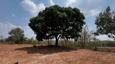 Image of 20000 Sq.ft Residential Plot / Land for sale in Karjat, Thane for Rs. 4500000