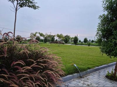 Silicon Sansaara Main Image 1