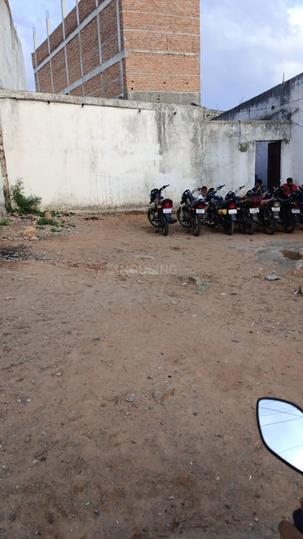 Shaheen nager Main Image 1