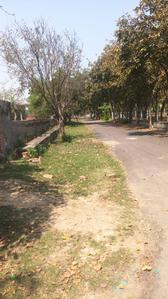 Residential Plot
