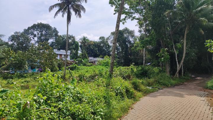 Mulanthuruthy Main Image 1