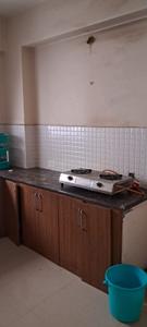 Kitchen Image of 644 Sq.ft 1 BHK Apartment / Flat for rent in Shubham Greens Phase 2, Rau Indore for Rs. 7000