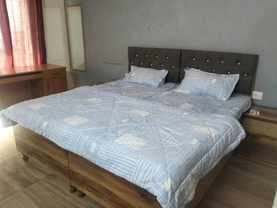 Bedroom Image of 435 Sq.ft 1 RK Apartment / Flat for rent in Paramount Golfforeste Premium Apartments, Surajpur Greater Noida for Rs. 15010