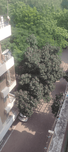 Image of 550 Sq.ft 1 BHK Apartment / Flat for sale in Highway Karuna Sagar Appartment, Kanadiya, Indore for Rs. 1400000