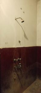 Image of 960 Sq.ft 2 BHK Independent House for rent in Shankar Nagar, Raipur for Rs. 12000