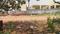 Kothapalem Main Image 1