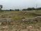 Rasapunja Plot View 2