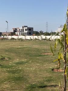 Image of 900 Sq.ft Residential Plot / Land for sale in Gandhi Path West, Jaipur for Rs. 4395000