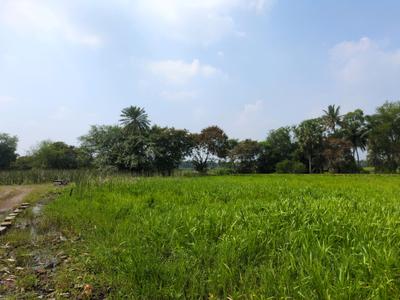 Image of 3600 Sq.ft Residential Plot / Land for sale in Natures Paradise, Joka, Kolkata for Rs. 1125000